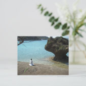 Carte Postale Worship Postcard (Debout devant)