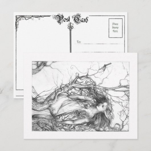 Carte Postale Wren (Devant / Derrière)