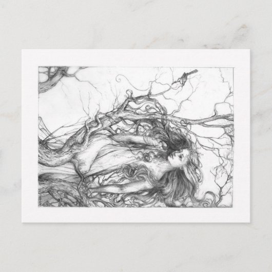 Carte Postale Wren (Devant)