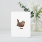 Carte Postale Wren Bird chante bruyante et belle chanson (Debout devant)
