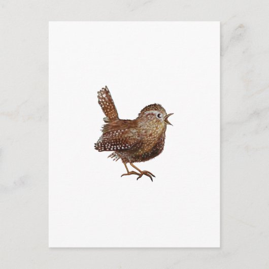 Carte Postale Wren Bird chante bruyante et belle chanson (Devant)