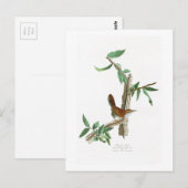 Carte Postale Wren de Bewick John James Audubon Birds of America (Devant / Derrière)