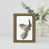 Carte postale Wren en encre (Debout devant)