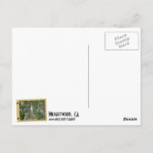 Carte postale Wrightwood ! (Dos)