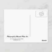 Carte postale Wrigley Building II (Dos)