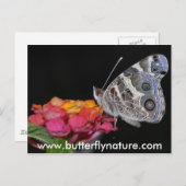 Carte Postale www.butterflynature.com (Devant / Derrière)