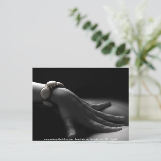 Carte Postale www.pedroguillenfalcon.com (Debout devant)