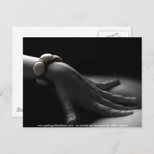 Carte Postale www.pedroguillenfalcon.com (Devant / Derrière)