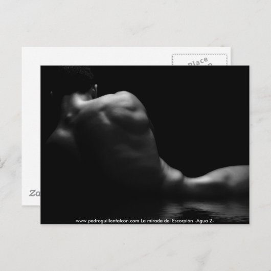 Carte Postale www.pedroguillenfalcon.com (Devant / Derrière)