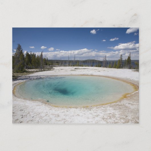 Carte Postale WY, Parc national de Yellowstone, West Thumb Geyse (Devant)