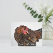 Carte Postale Wyandotte Chicken (Debout devant)