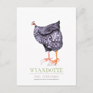 Carte Postale WYANDOTTE HEN, tony fernandes