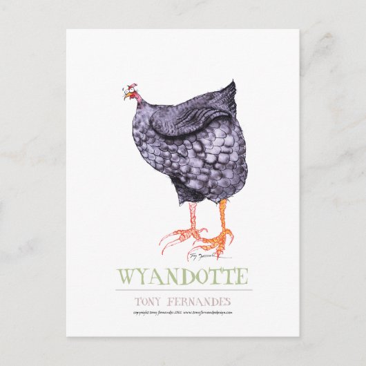 Carte Postale WYANDOTTE HEN, tony fernandes (Devant)