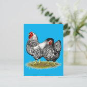 Carte Postale Wyandotte :  Paire d'argent (Debout devant)