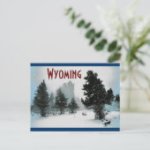 Carte postale Wyoming (Debout devant)