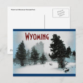 Carte postale Wyoming (Devant / Derrière)