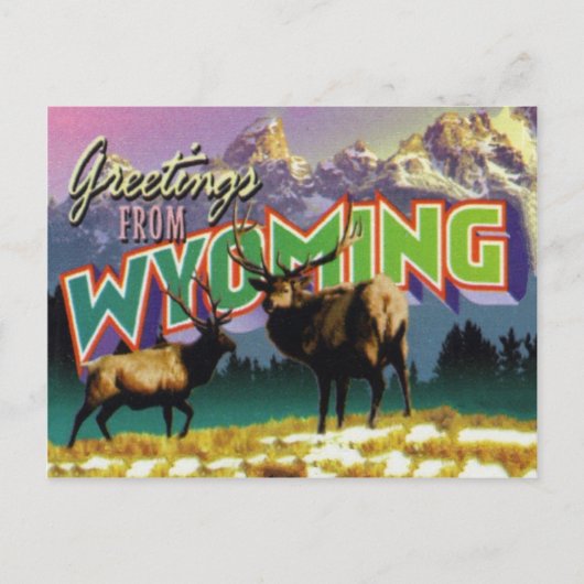 Carte postale Wyoming (Devant)