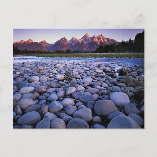 Carte Postale Wyoming, Parc national de Teton, Snake River (Devant)