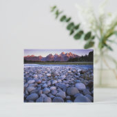 Carte Postale Wyoming, Parc national de Teton, Snake River (Debout devant)