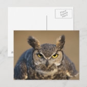 Carte Postale wyoming, usa (Devant / Derrière)