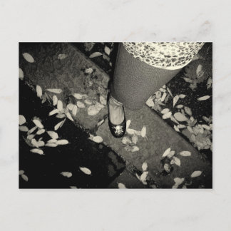Carte Postale x pieds