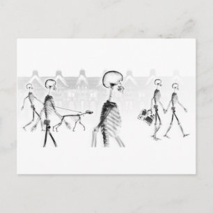 Carte Postale X-Ray Skeletons Après-Midi Promenade Neg BW