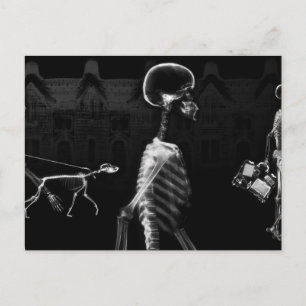 Carte Postale X-Ray Skeletons Midnight Stroll noir blanc