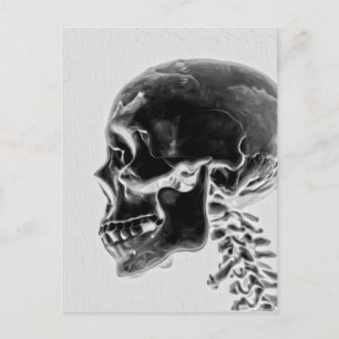 Carte Postale X-Ray Skull