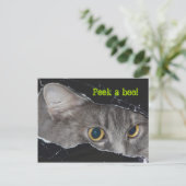 Carte postale Xena peek-a-boo - Customisée (Debout devant)