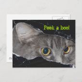 Carte postale Xena peek-a-boo - Customisée (Devant / Derrière)