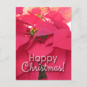 Carte Postale Xmas 001 - Postcard (Devant)