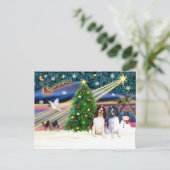 Carte Postale Xms Magic-2EngSpringer LivWht+Blk (Debout devant)