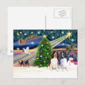 Carte Postale Xms Magic-2EngSpringer LivWht+Blk (Devant / Derrière)