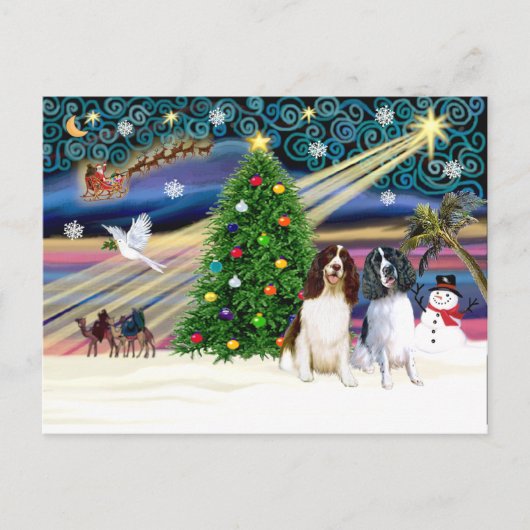 Carte Postale Xms Magic-2EngSpringer LivWht+Blk (Devant)