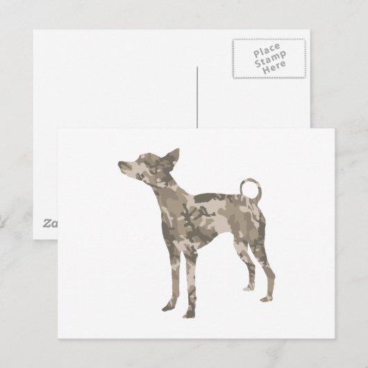 Carte Postale Xoloitzcuintli (Devant / Derrière)