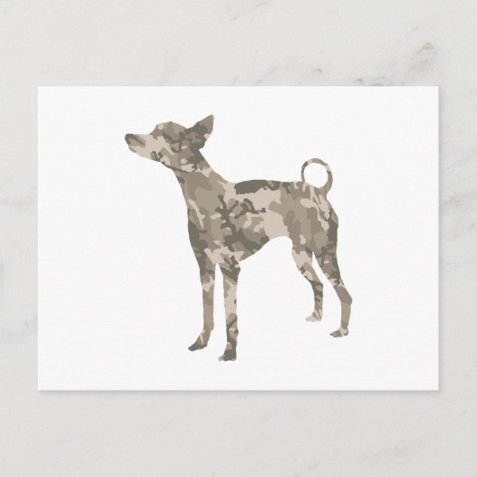 Carte Postale Xoloitzcuintli (Devant)