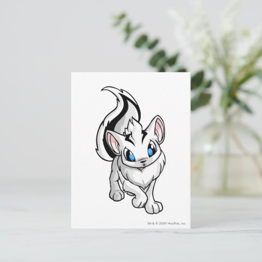 Carte Postale Xweetok blanc (Debout devant)