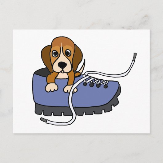 Carte Postale XX- Beagle Chien chiot dans un dessin de chaussure (Devant)