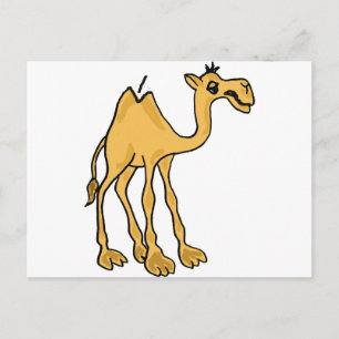 Carte Postale XX- Drôle Carton de Camel