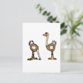 Carte Postale XX- Ostriches dans le sable (Debout devant)