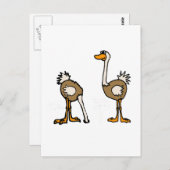 Carte Postale XX- Ostriches dans le sable (Devant / Derrière)