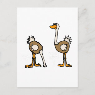 Carte Postale XX- Ostriches dans le sable