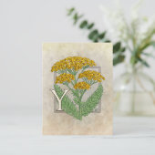 Carte Postale Y pour l'alphabet de fleurs de Yarrow (Debout devant)
