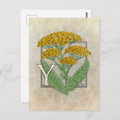 Carte Postale Y pour l'alphabet de fleurs de Yarrow (Devant / Derrière)
