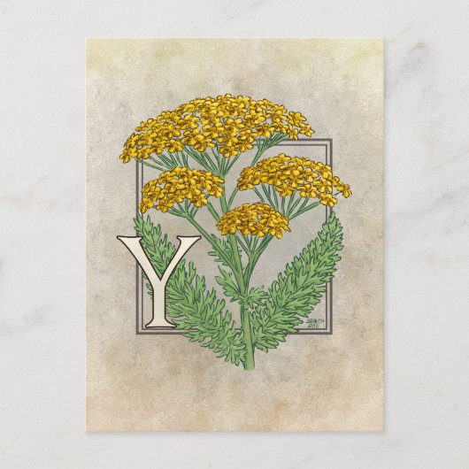 Carte Postale Y pour l'alphabet de fleurs de Yarrow (Devant)