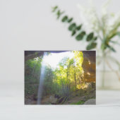 Carte Postale Yahoo Falls, Kentucky (Debout devant)