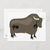 Carte Postale Yak (Devant / Derrière)
