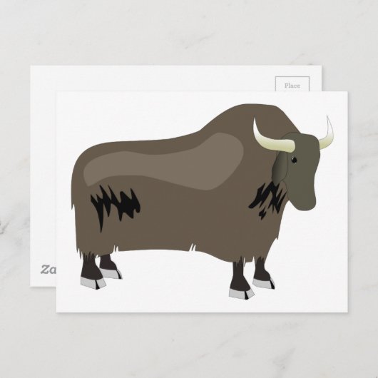 Carte Postale Yak (Devant / Derrière)