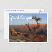 Carte postale Yaki Point, Grand Canyon Arizona (Devant / Derrière)