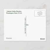 Carte Postale Yakima Valley Peaches, État de Washington. (Dos)